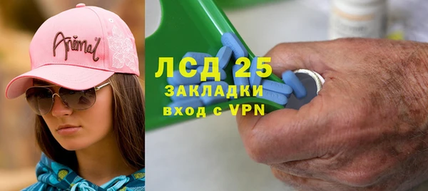прущие грибы Алзамай
