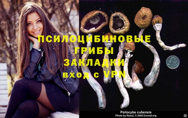 мескалин Нефтегорск