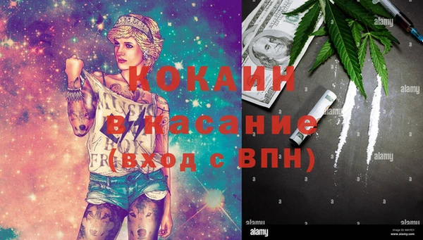 прущие грибы Алзамай